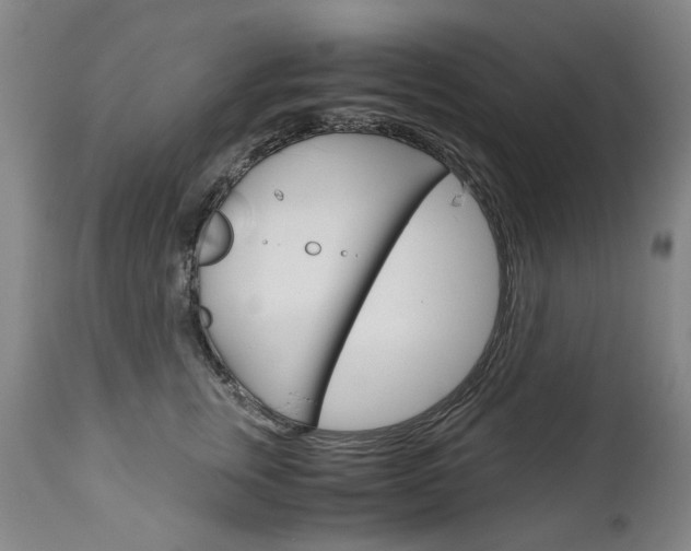 X0000113140759200909040957