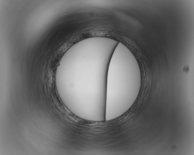 X0000113140761200909040957