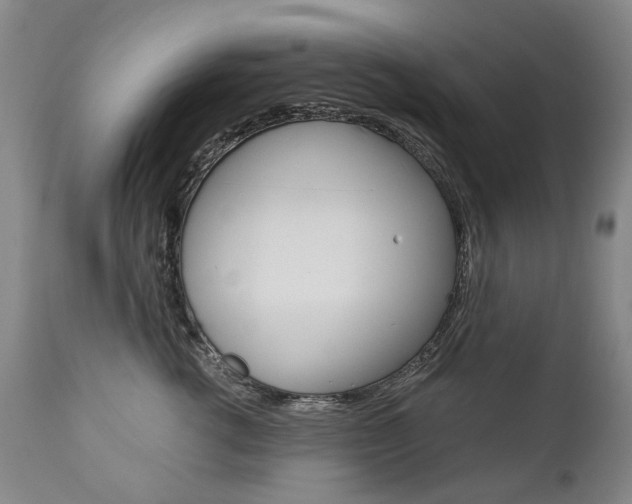X0000113140762200909040957