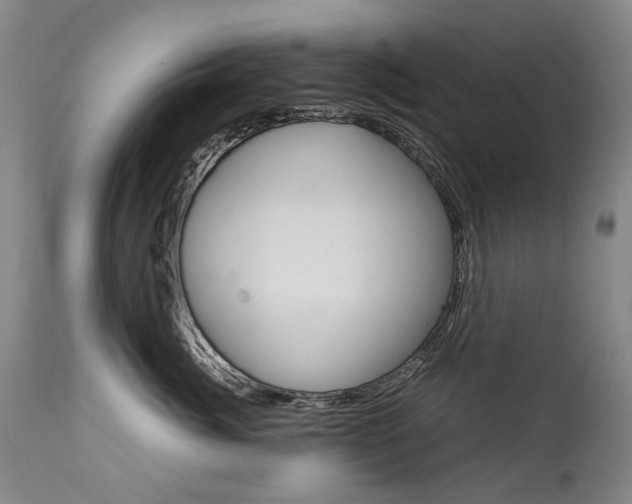 X0000113140764200909040957