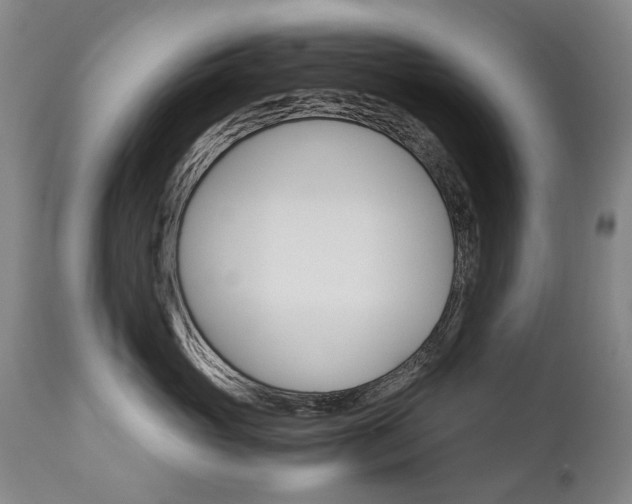 X0000113140765200909040957