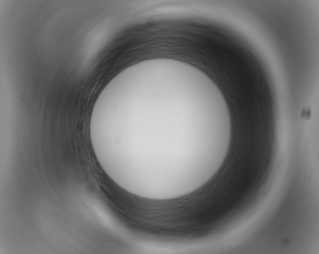 X0000113140766200909040957