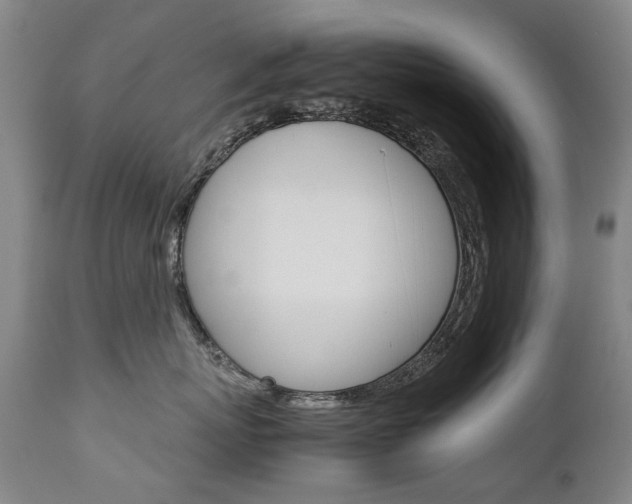 X0000113140767200909040957