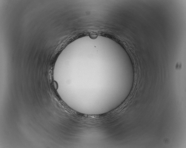 X0000113140768200909040957