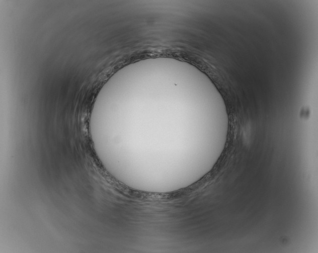 X0000113140770200909040957