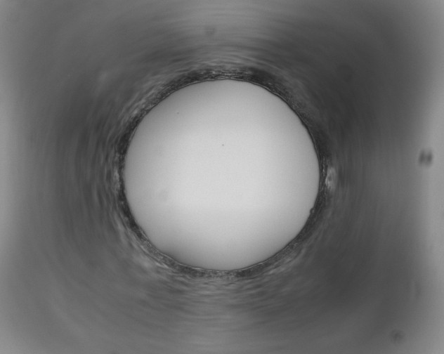 X0000113140771200909040957