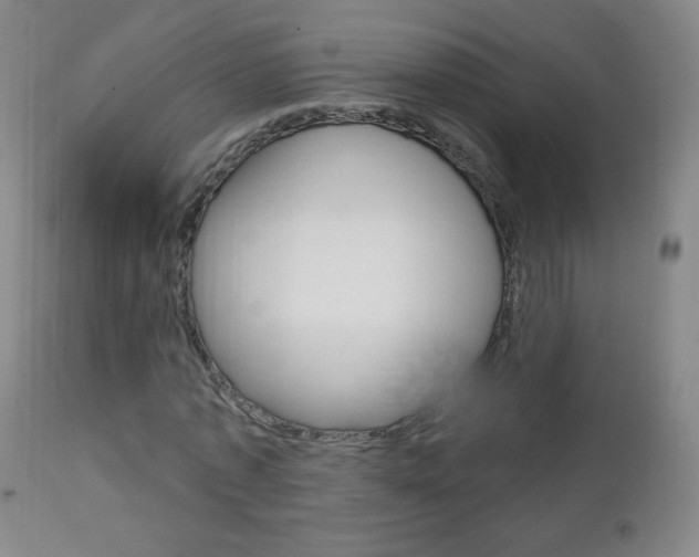 X0000113140773200909040957