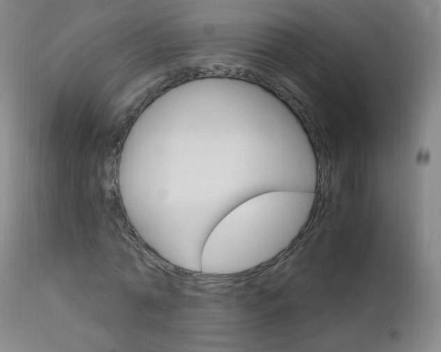 X0000113140774200909040957