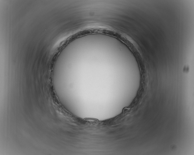 X0000113140775200909040956