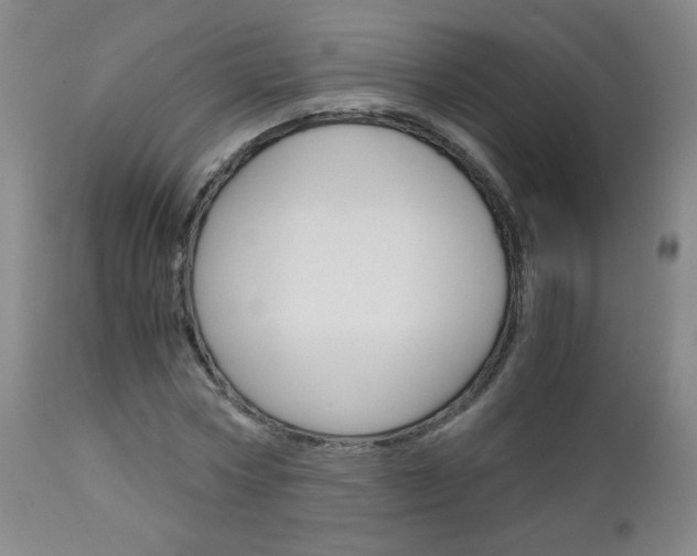 X0000113140778200909040956
