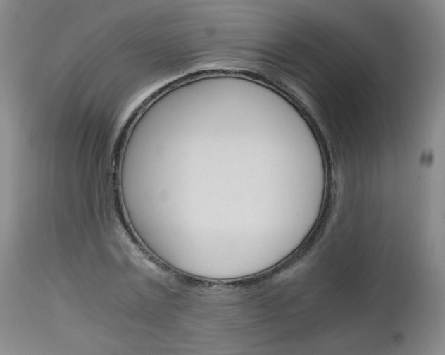 X0000113140779200909040956