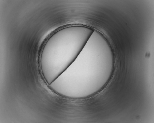 X0000113140780200909040956
