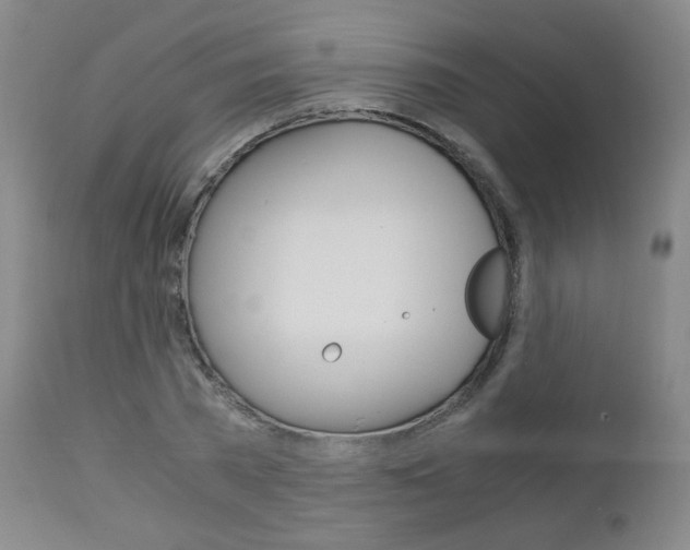X0000113140785200909040956