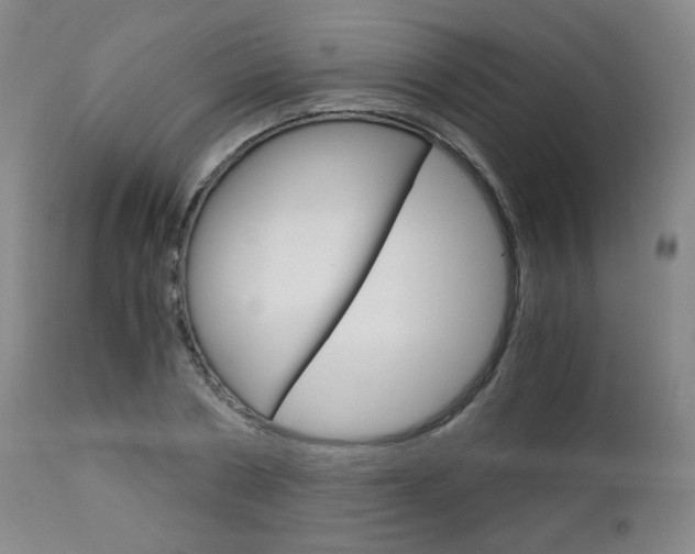 X0000113140786200909040956