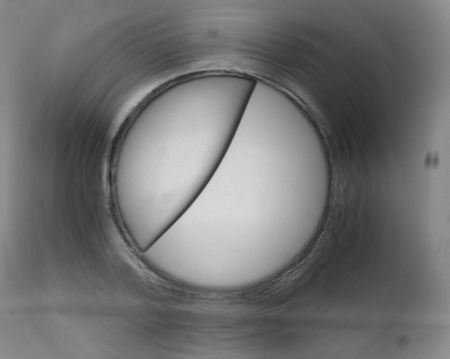 X0000113140788200909040956
