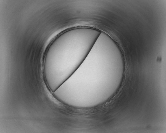 X0000113140792200909040956