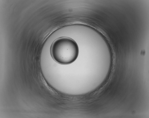 X0000113140793200909040956