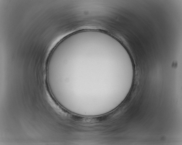 X0000113140795200909040956
