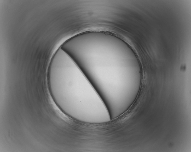 X0000113140803200909040956