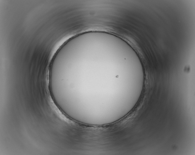 X0000113140804200909040956