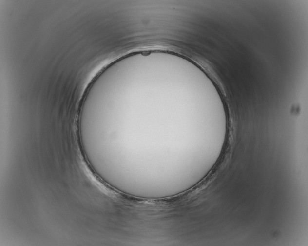 X0000113140805200909040956