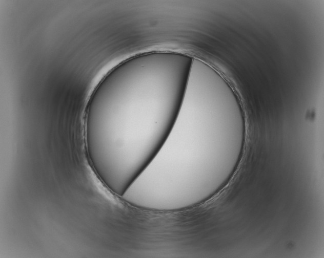 X0000113140808200909040956