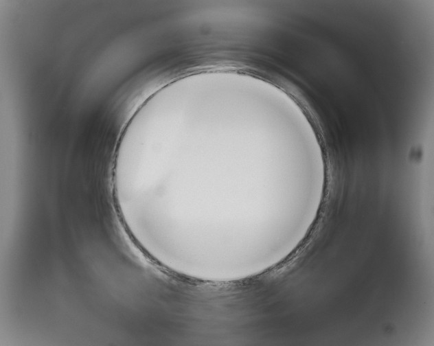 X0000113140810200909040956