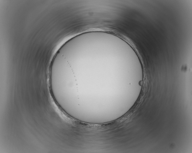 X0000113140811200909040956