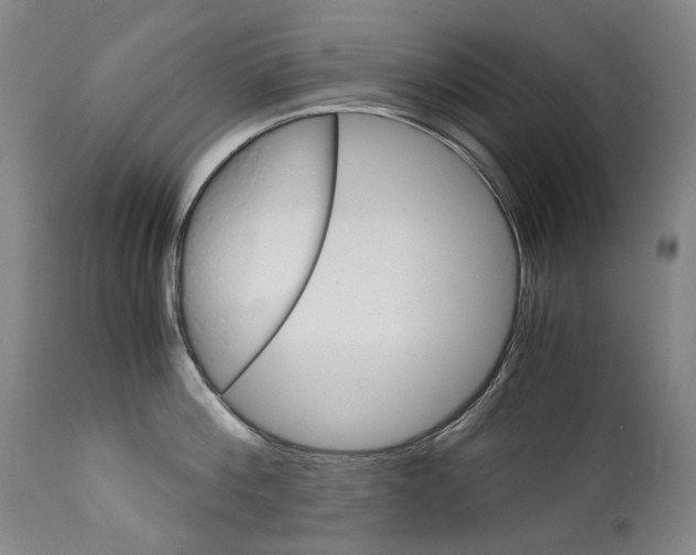 X0000113140812200909040956
