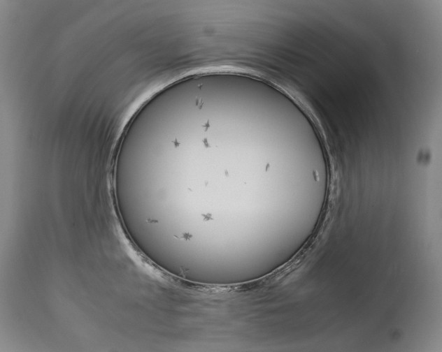 X0000113140813200909040956