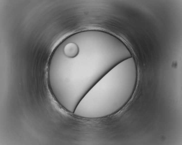 X0000113140814200909040956