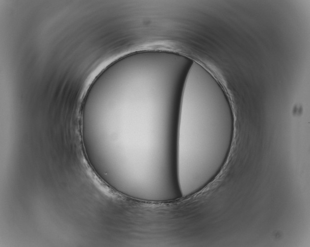 X0000113140816200909040956
