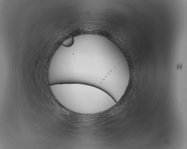 X0000113140817200909040955