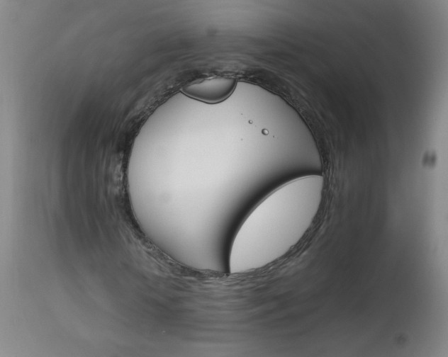 X0000113140818200909040955