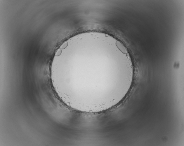 X0000113140820200909040955