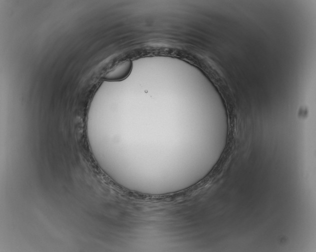 X0000113140821200909040955