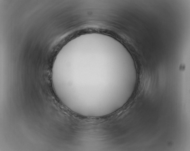 X0000113140822200909040955