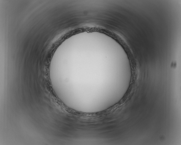 X0000113140823200909040955
