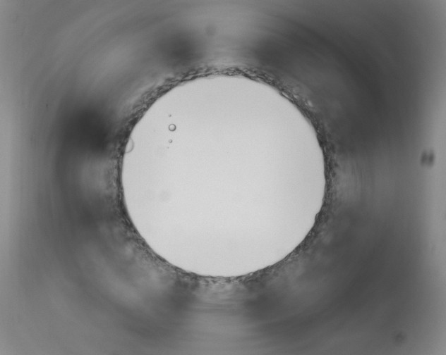 X0000113140824200909040955