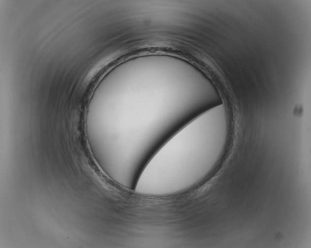 X0000113140826200909040955