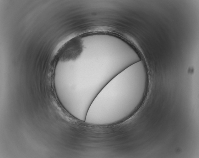 X0000113140827200909040955