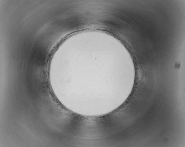 X0000113140828200909040955