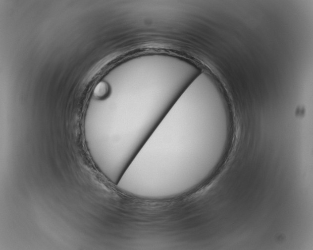 X0000113140829200909040955