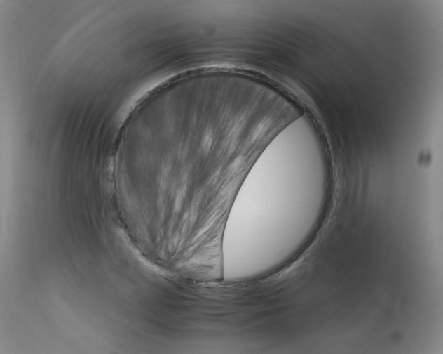 X0000113140831200909040955