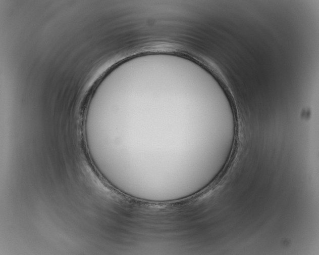 X0000113140835200909040955