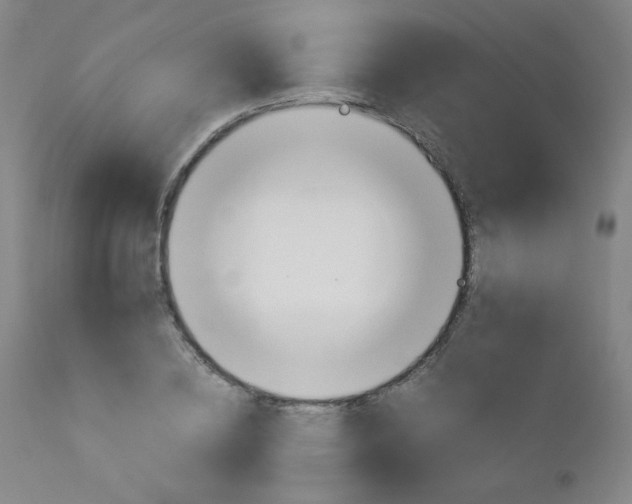 X0000113140836200909040955