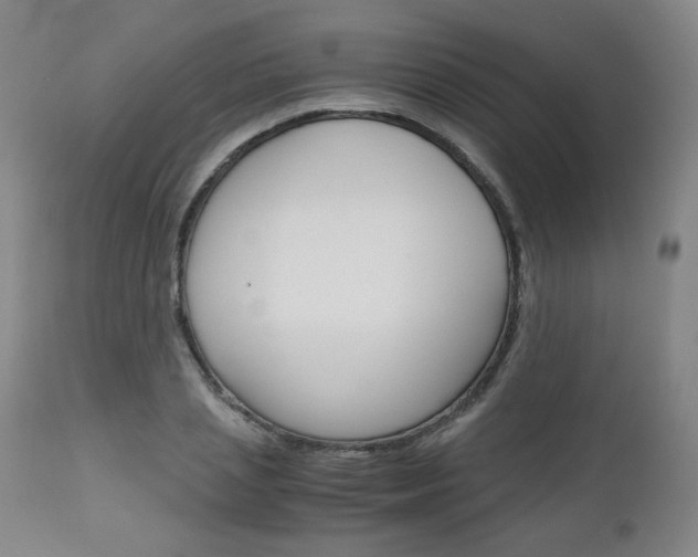 X0000113140837200909040955