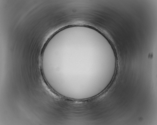 X0000113140839200909040955