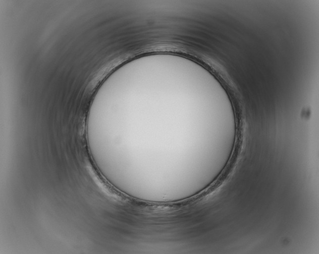 X0000113140841200909040955