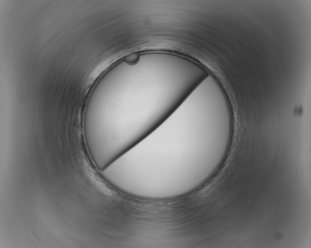 X0000113140842200909040955